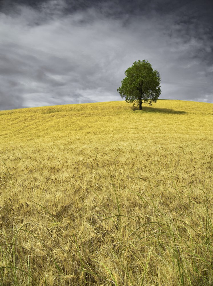 Photograph by Giuseppe Galli