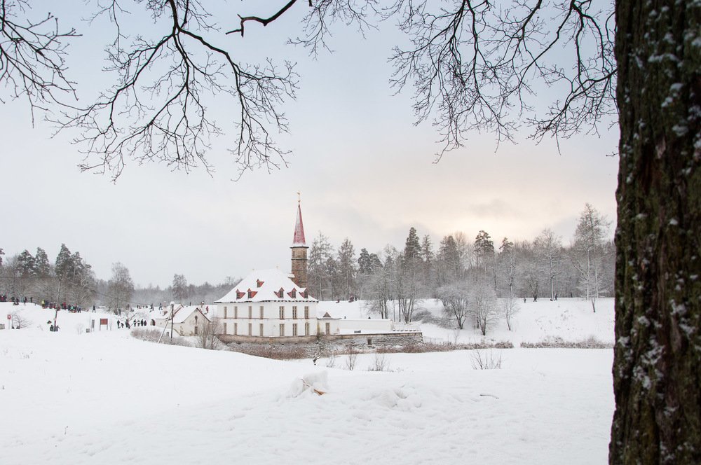 Photograph by Логинова Светлана