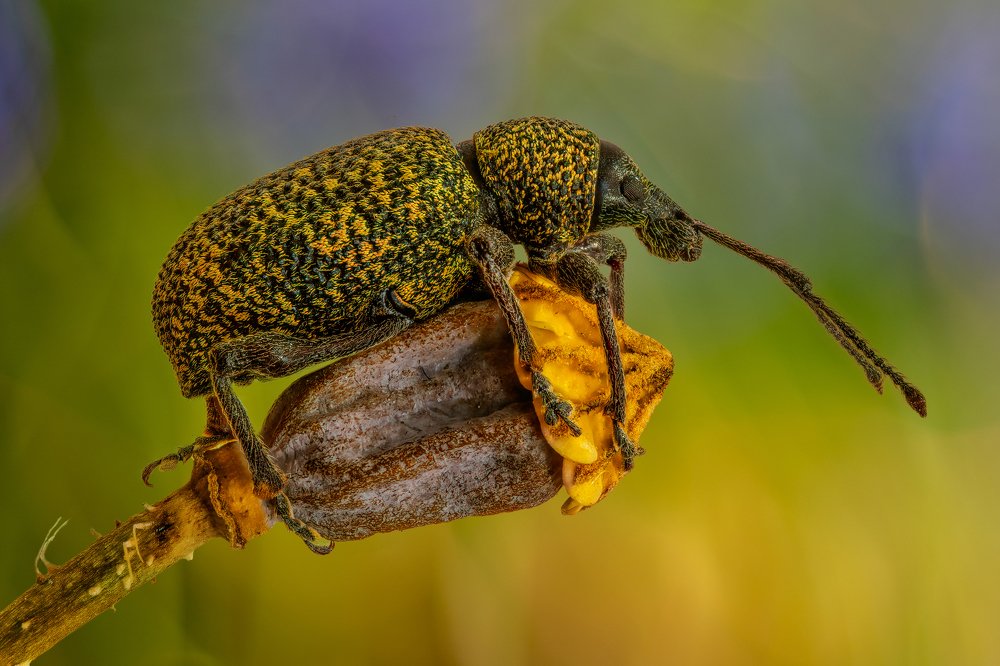 Photograph by Sara Jazbar