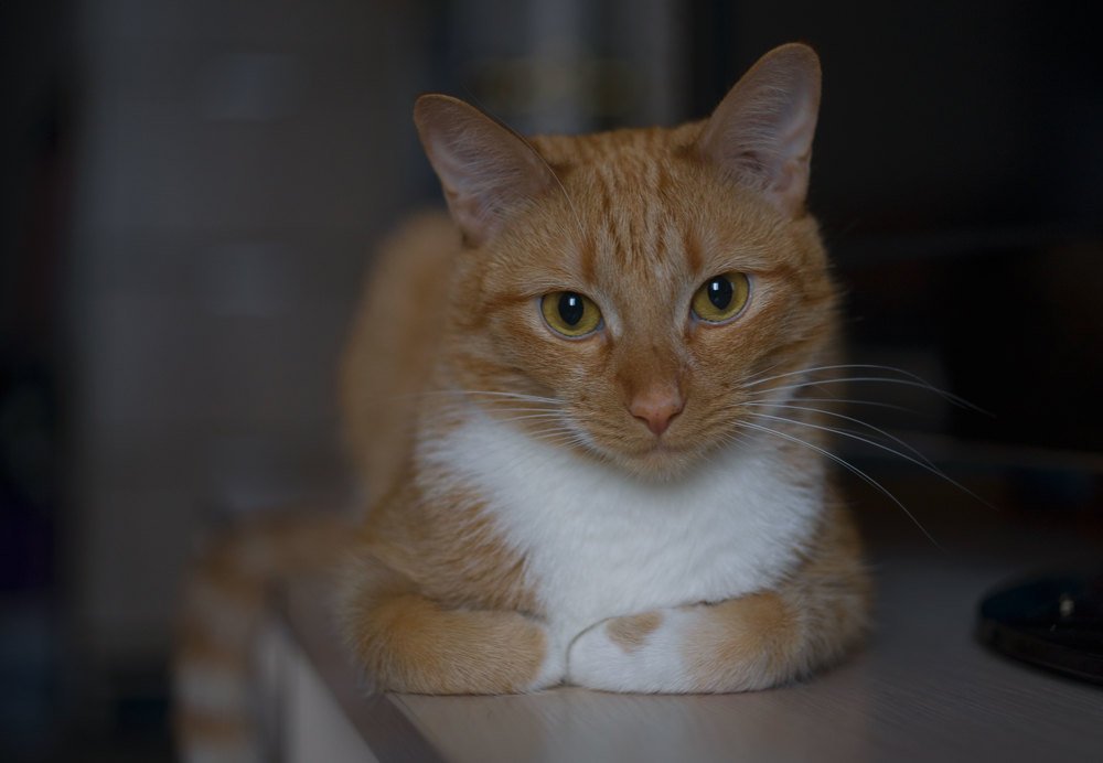 Photograph by Марина Зборацкая