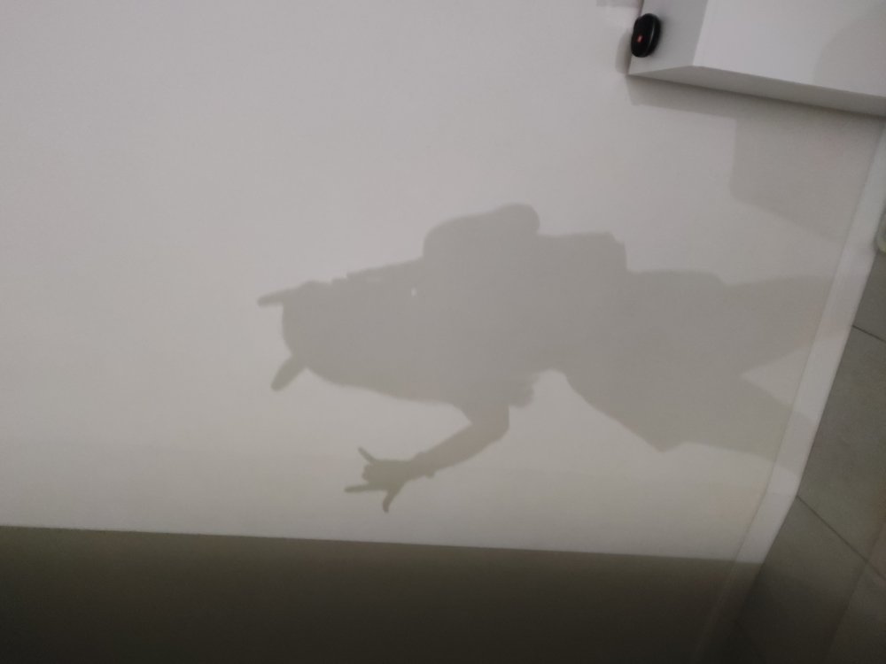 Photograph by Мария Бойко