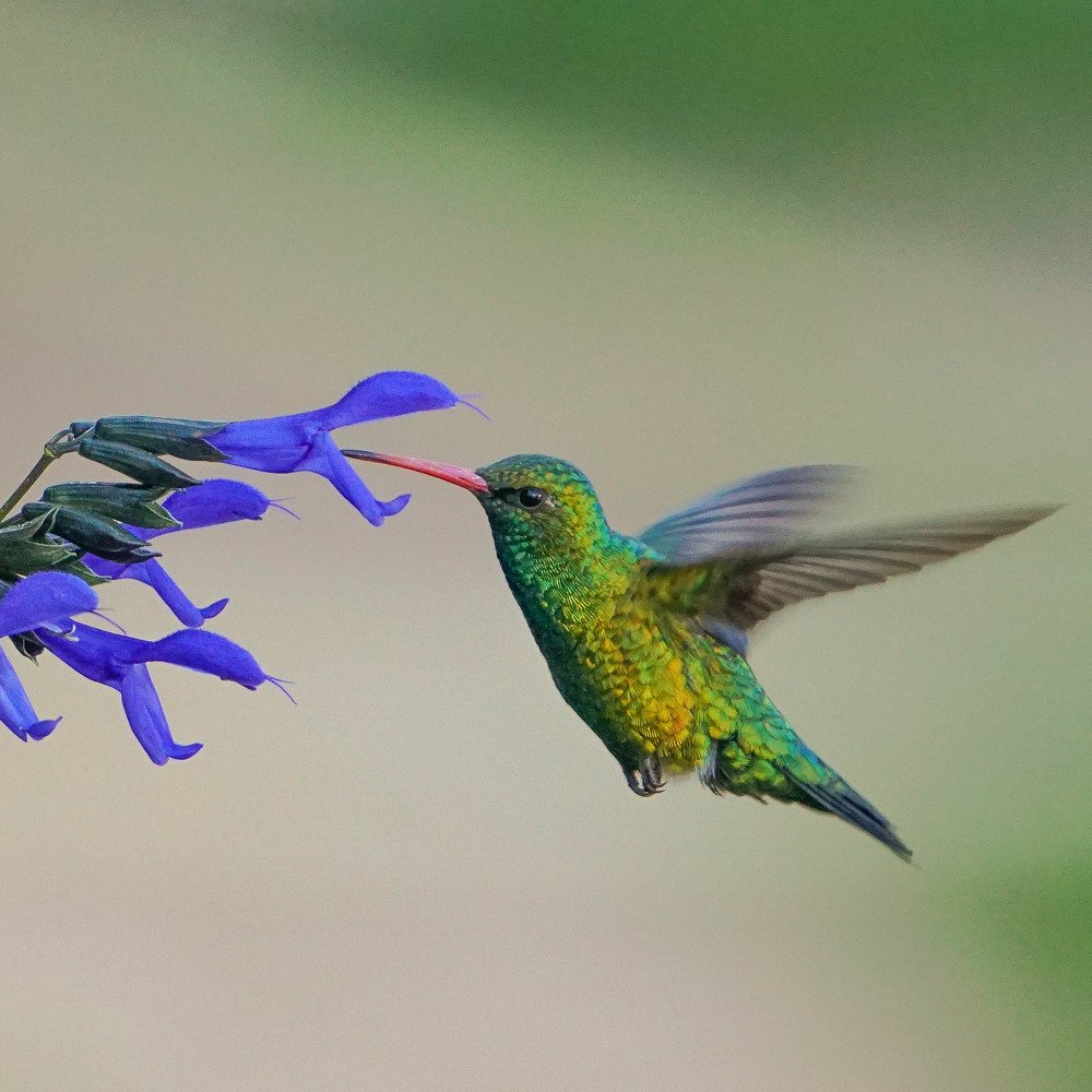 Photograph by Karina Elena Bergagna