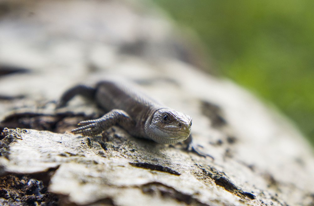 Photograph by Сергей Бабанов