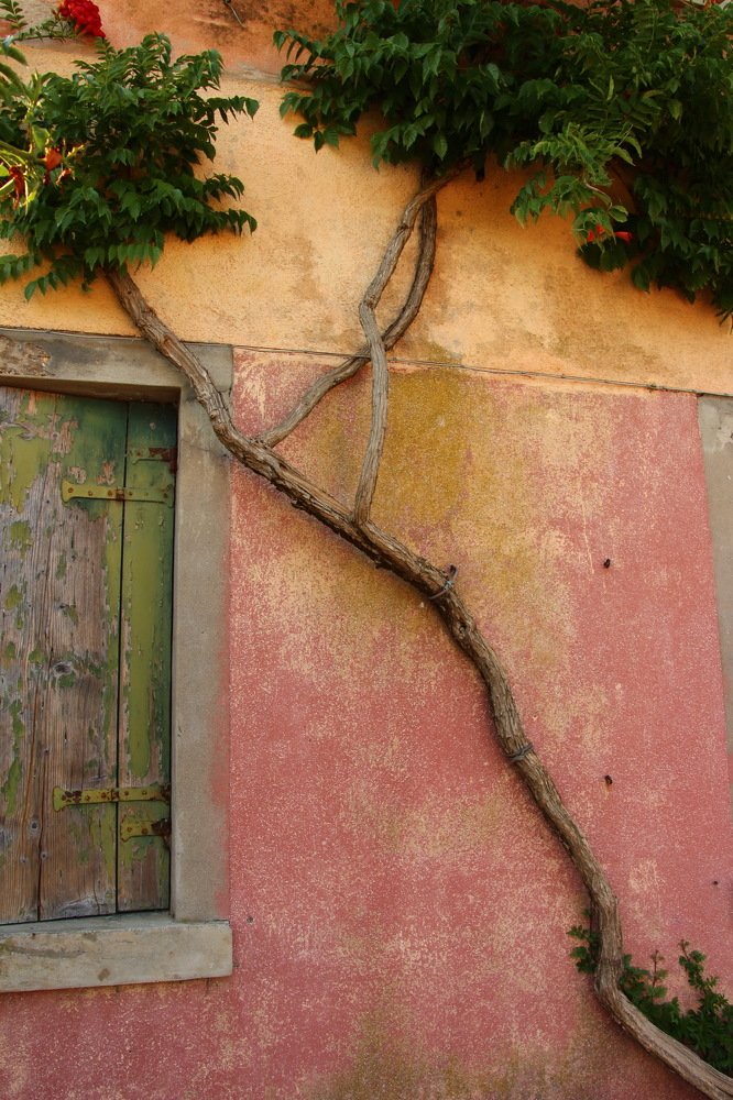Photograph by Светлана Паренкова