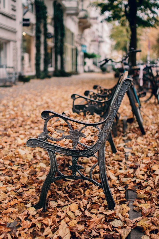 Photograph by irene anucci