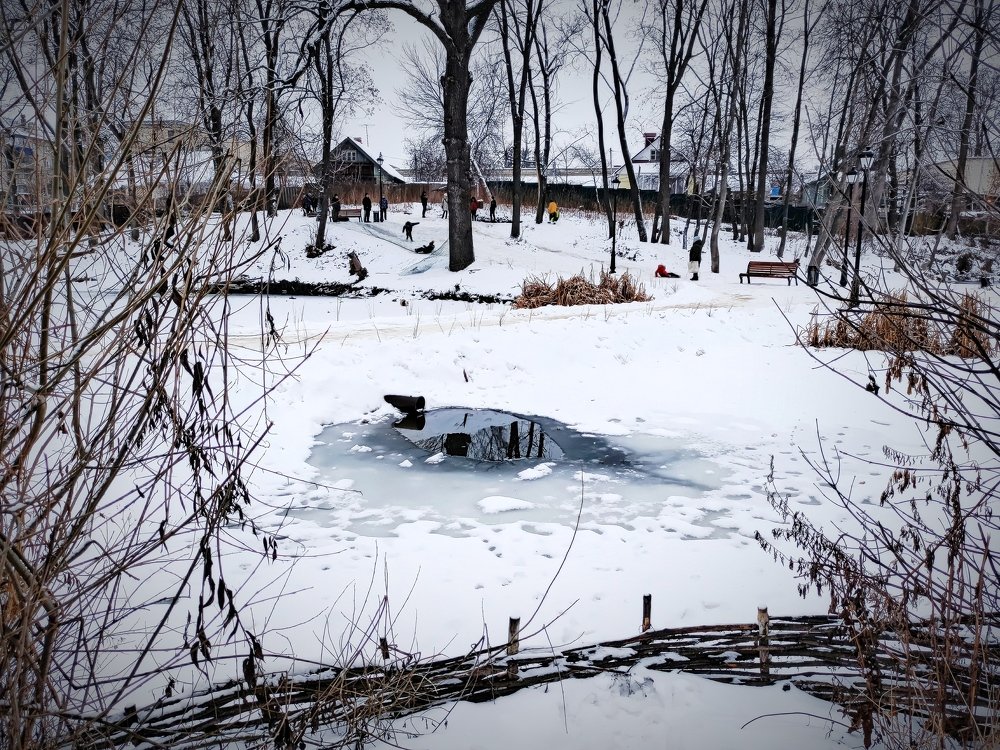 Photograph by Елена Малютина