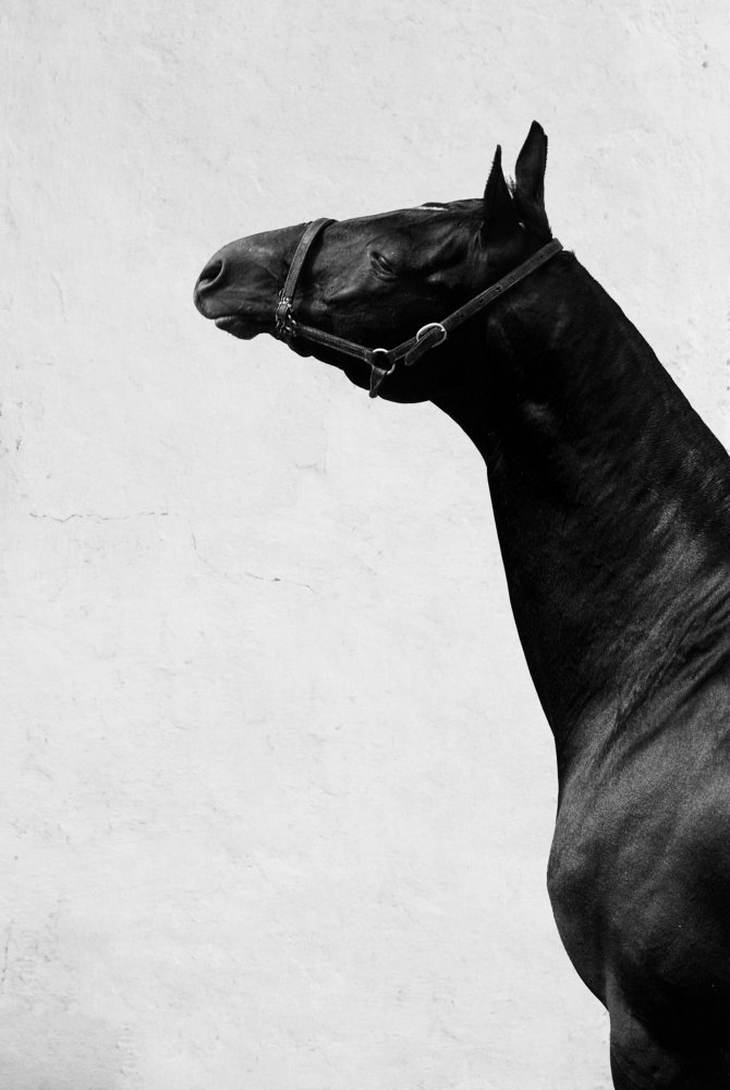 Photograph by Rasool Shokri