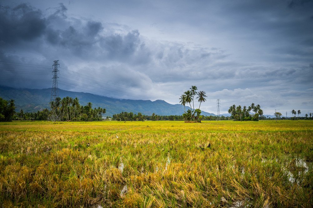 Photograph by Muhammad