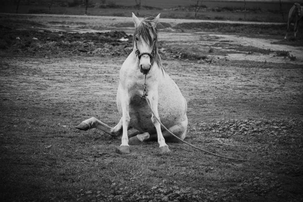 Photograph by Rasool Shokri