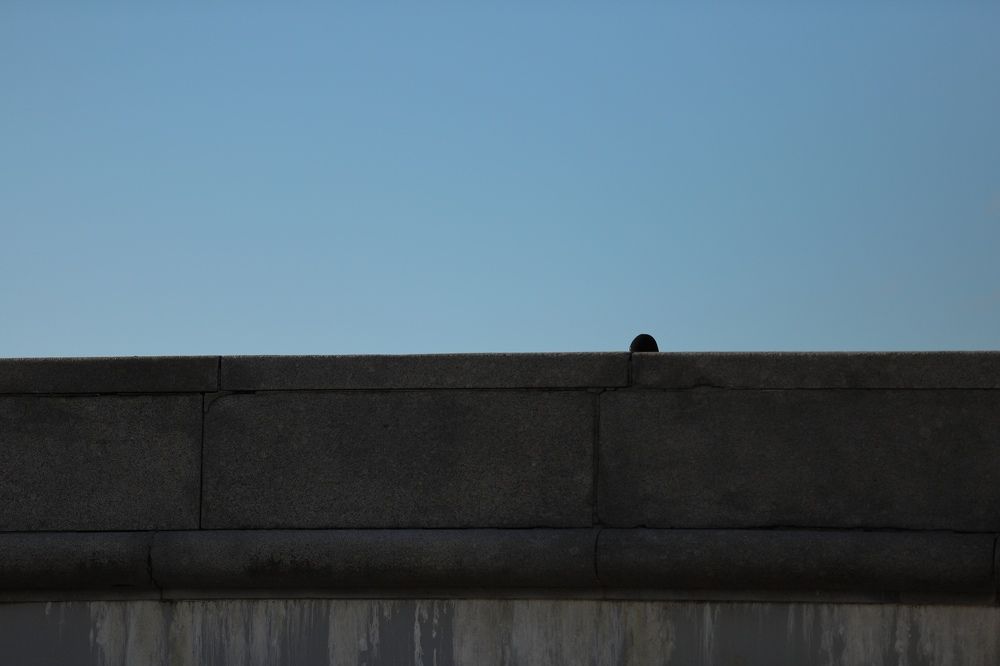 Photograph by Александр Авдеев