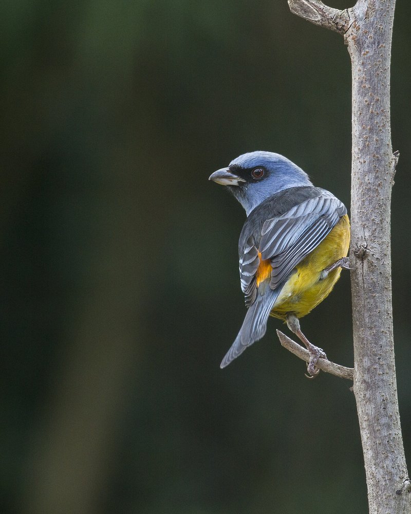 Photograph by Jefferson R O Silva