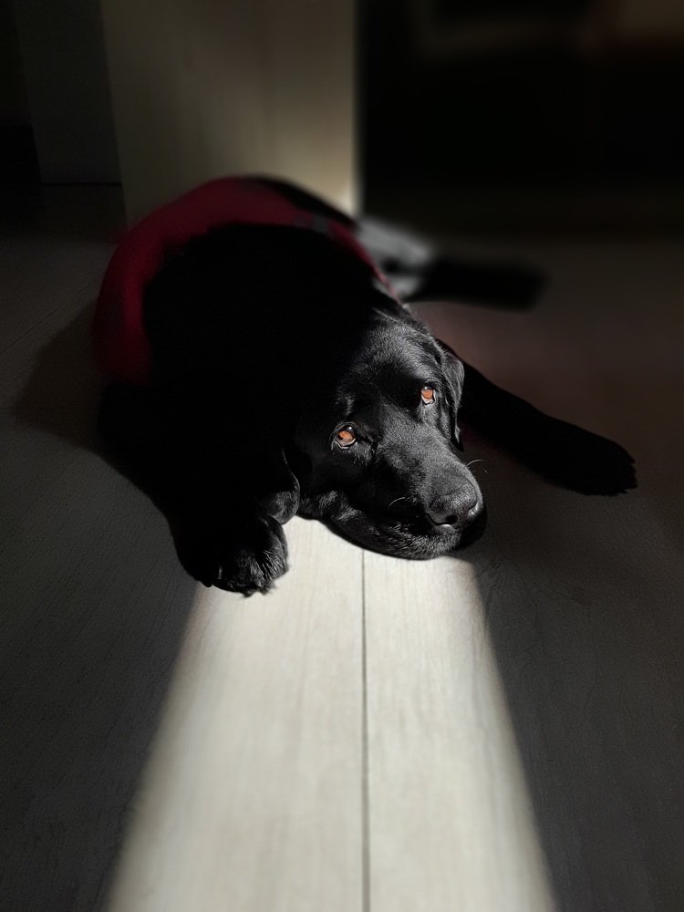 Photograph by Jefferson R O Silva