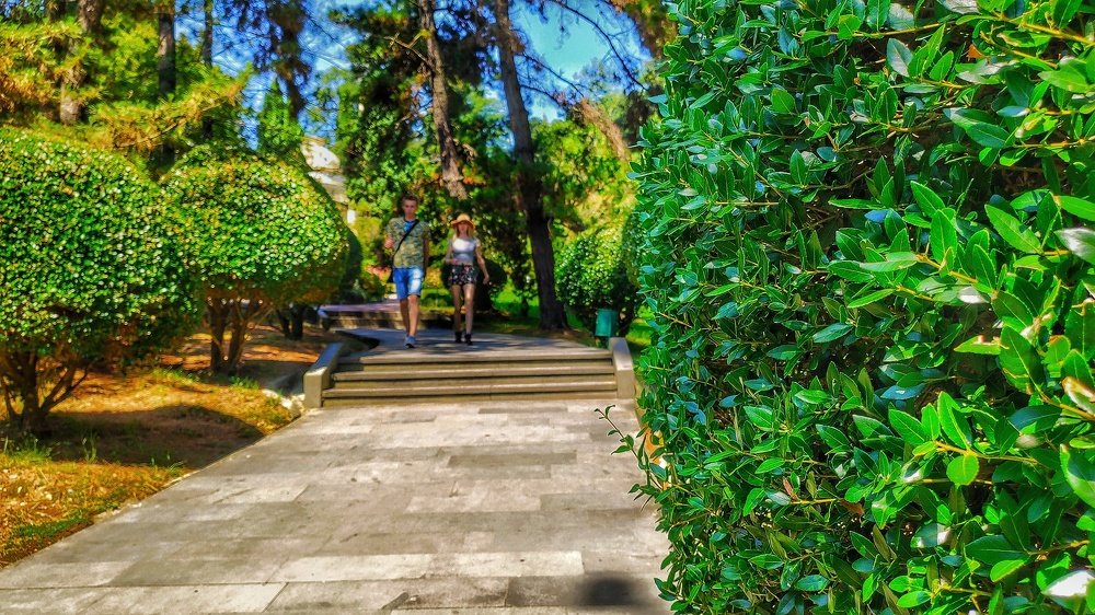 Photograph by Денис Пономарёв