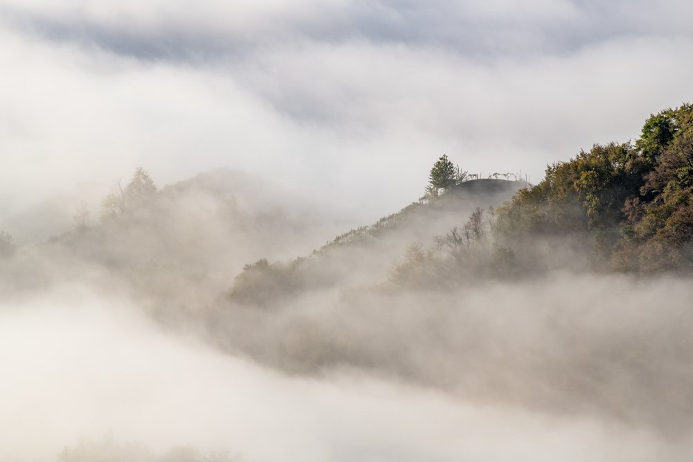The fog in the hills