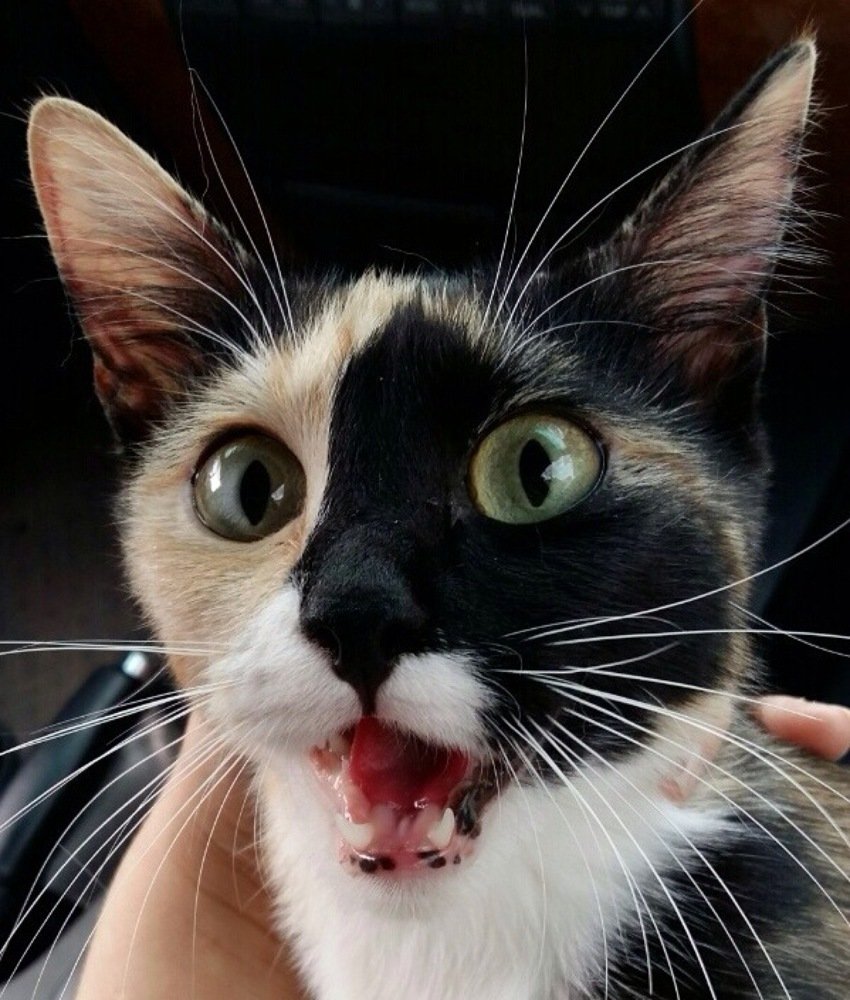 Photograph by Андрей Александров