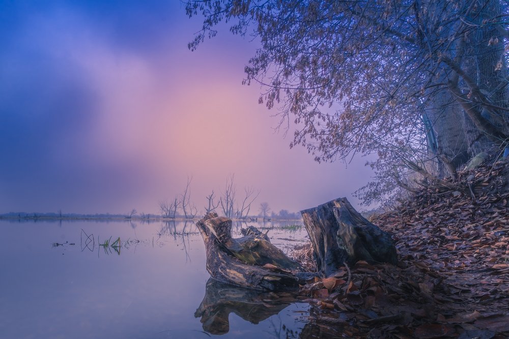 Photograph by 