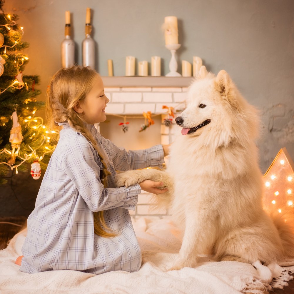 Photograph by Вероника Мигачёва