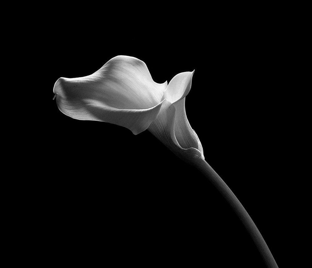 Photograph by Victoria