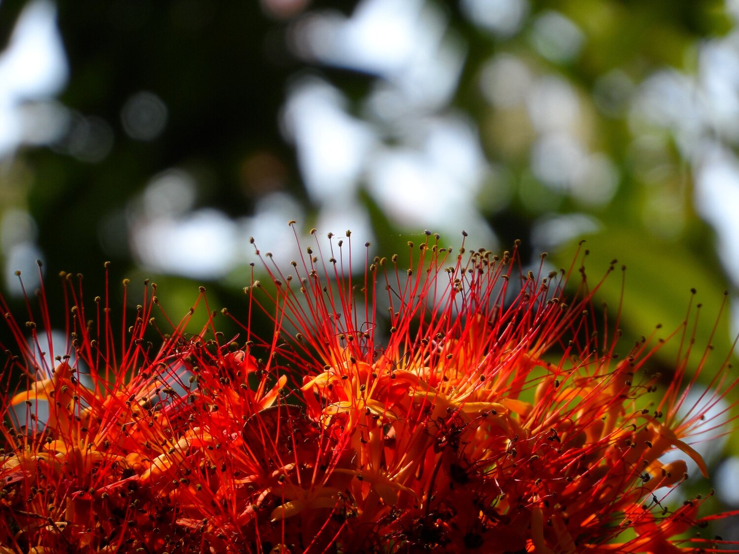 Photo #5503867