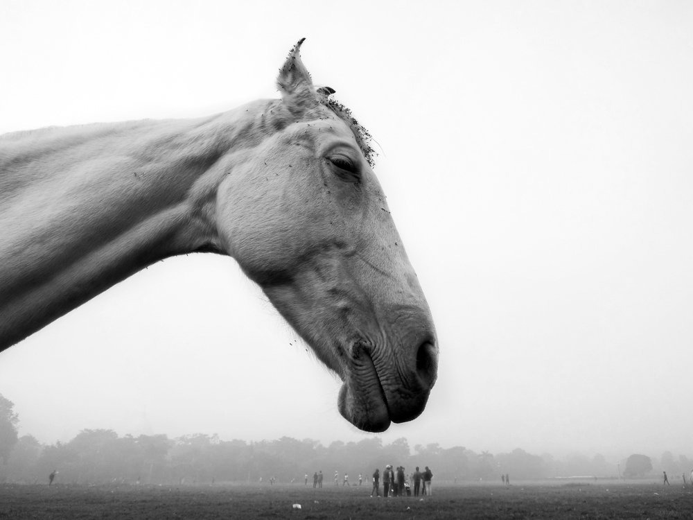 An unaccompanied depression.