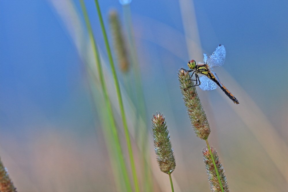 Photograph by Олег Резенов