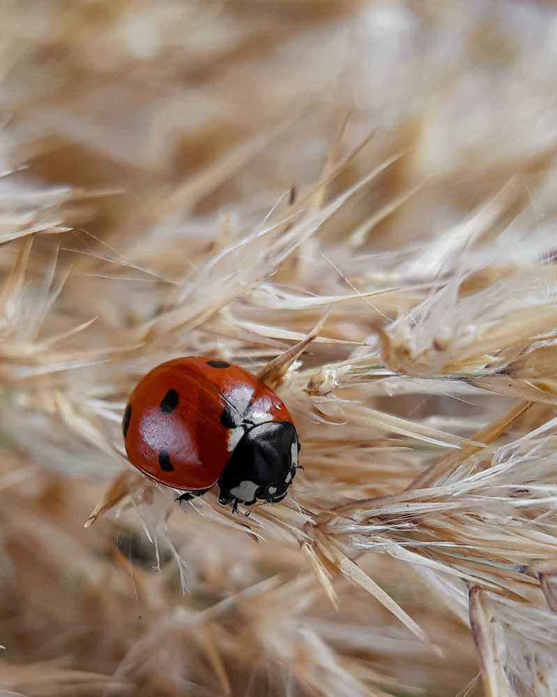 Photograph by Анна Чичилова