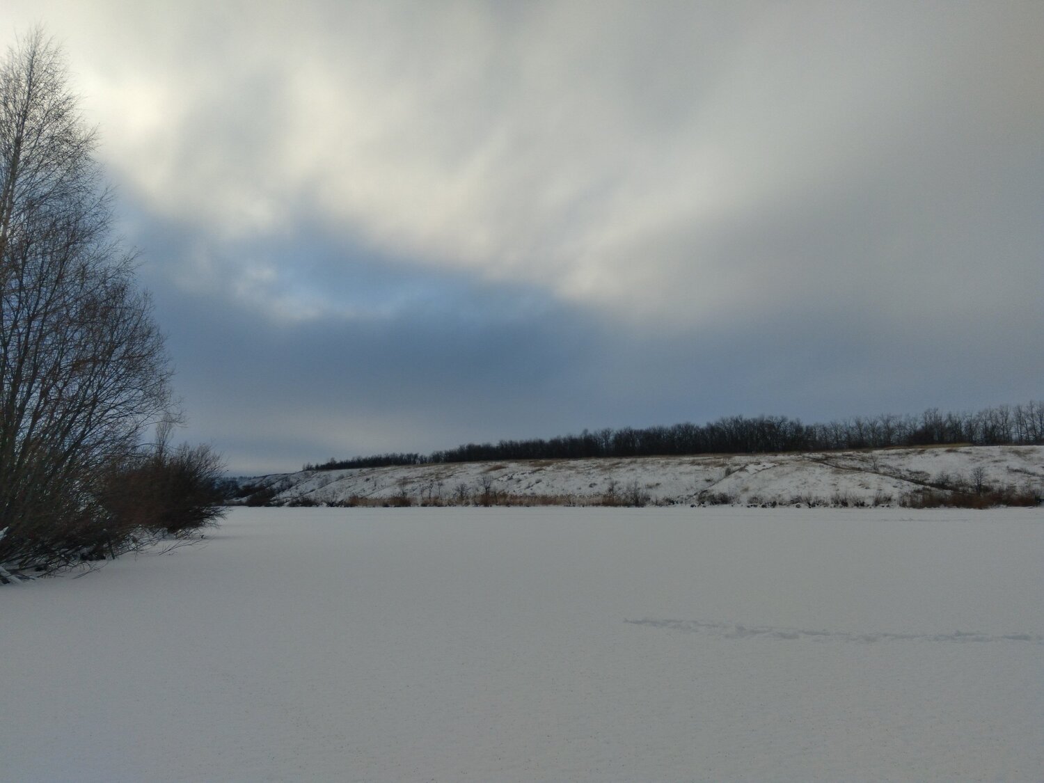 Photo #5503991