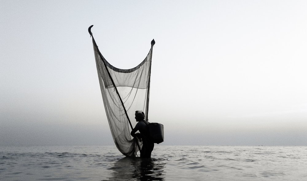 Photograph by Sajibul islam