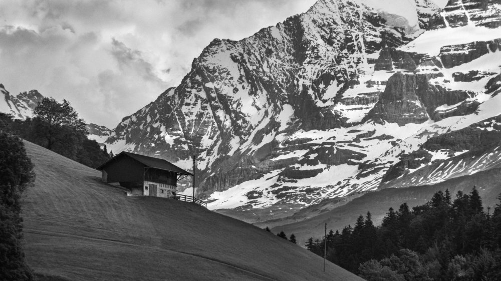 Photograph by Ankalli Maldonado