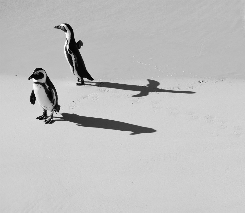 Photograph by Kriti Aggarwal