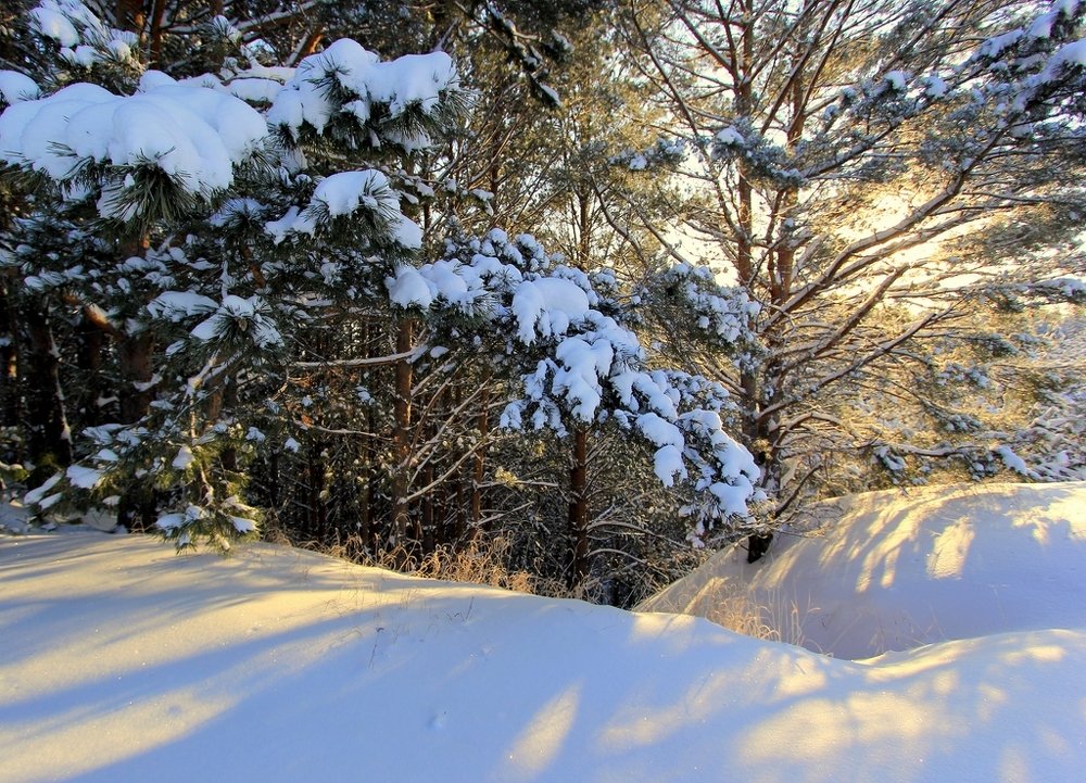 Photograph by Евгений Сизов