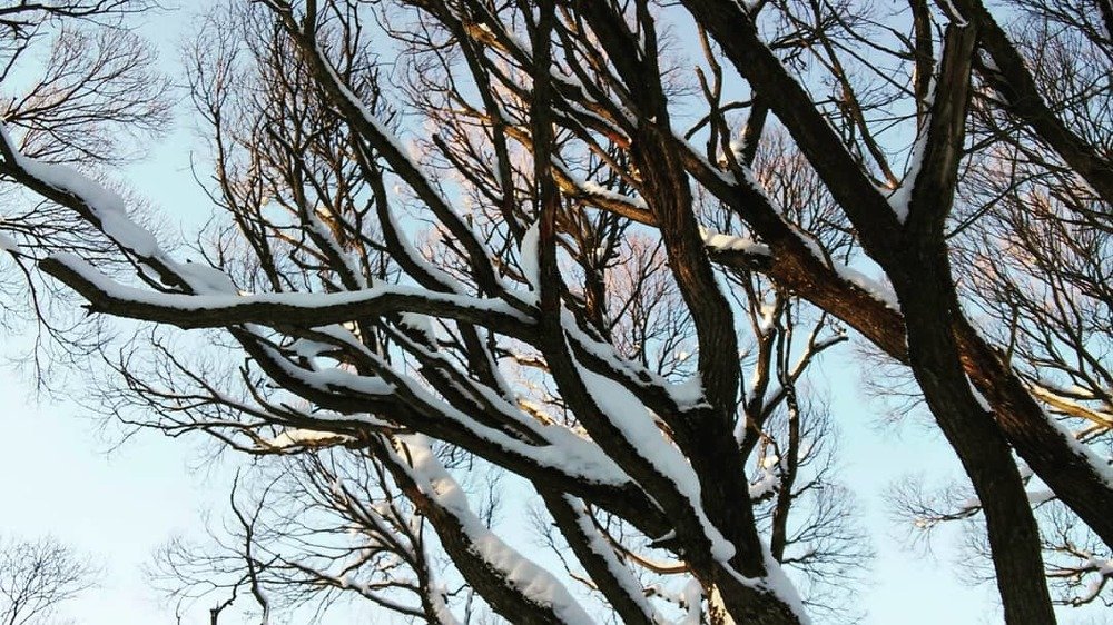 Photograph by Армине Оганесян