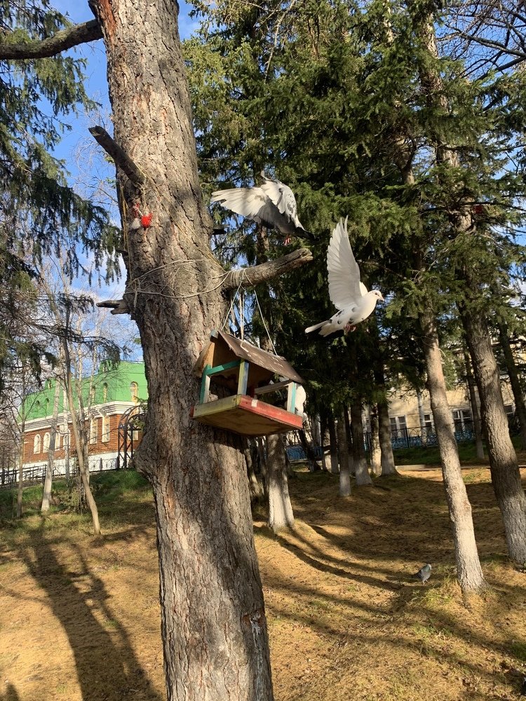 Photograph by Сергей