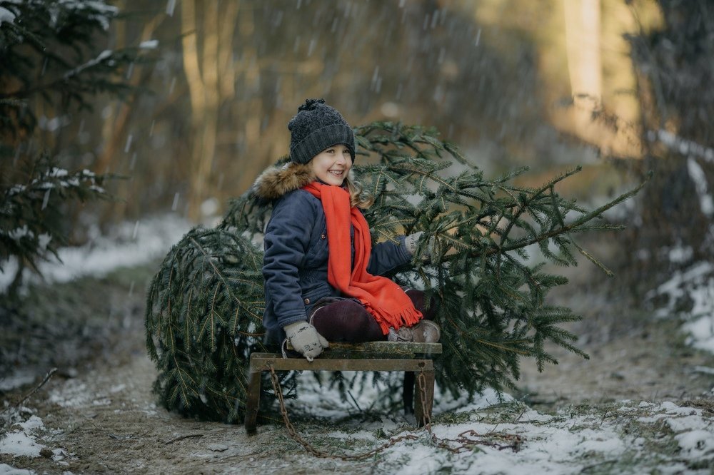 Фотография автора Ирина Меркуленко