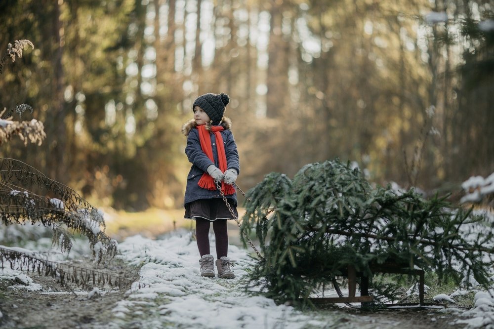Фотография автора Ирина Меркуленко