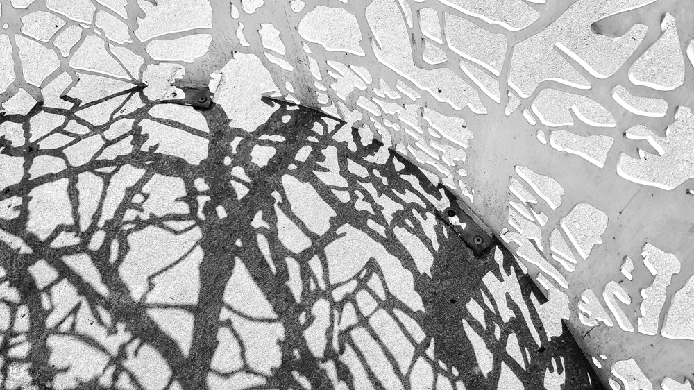 Photograph by Yamile Alfaro Picco