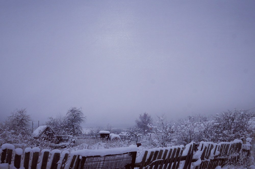 Photograph by Анна Каменева