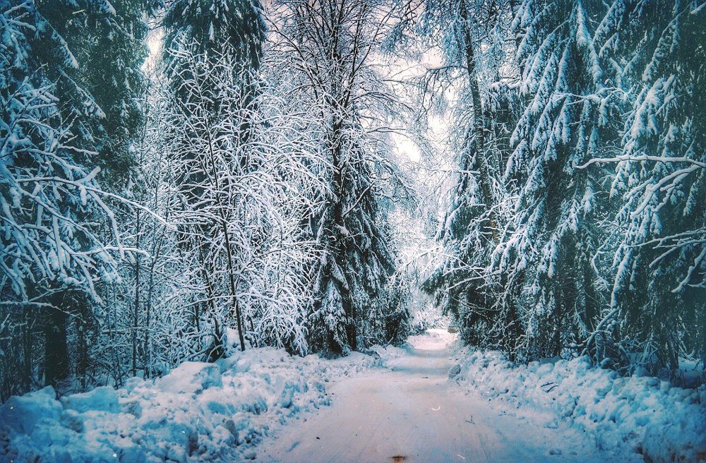 Photograph by Анна Каменева