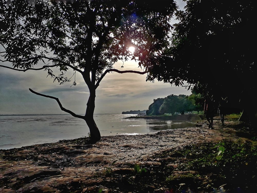 the beauty of a natural view of a river side