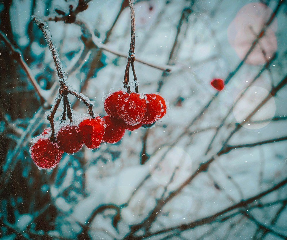 Photograph by Анна Каменева