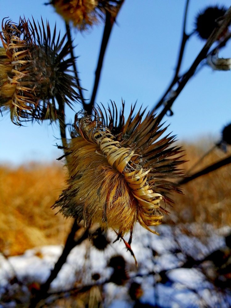 Фотография автора Андрей Богатов