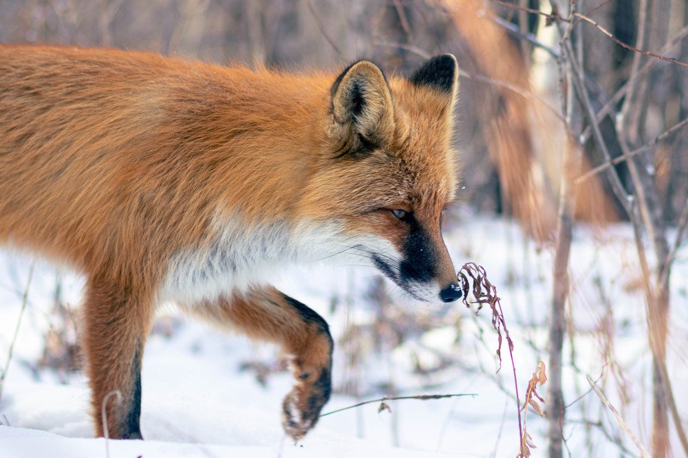 Photograph by Дмитрий Медянников