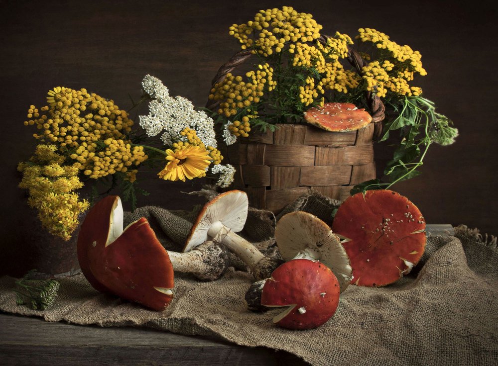 Photograph by Вера Лопатина