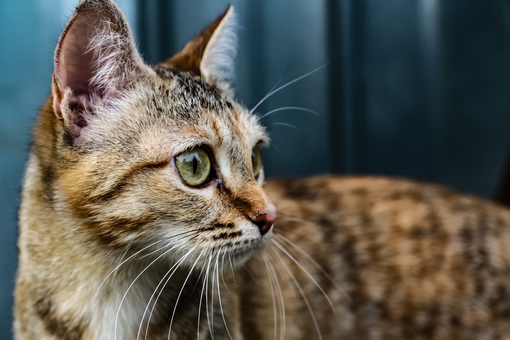 Photograph by Анна Дорофеева