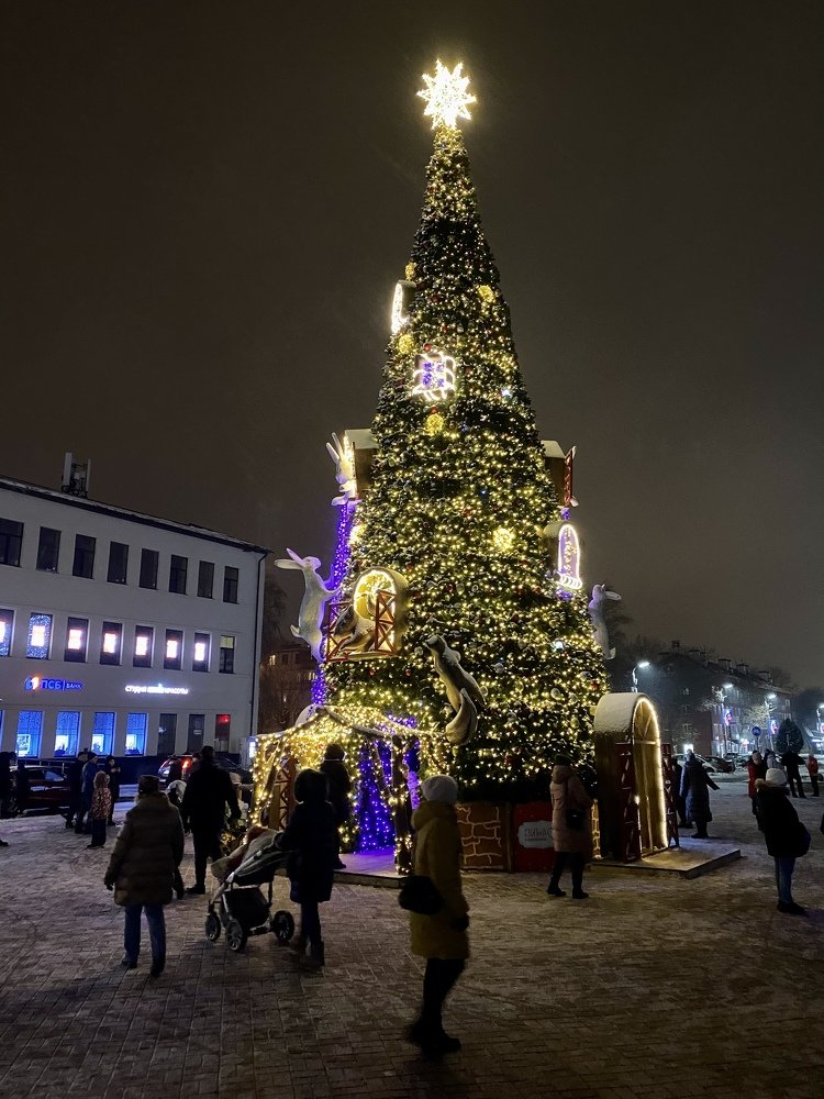 Елочка, гори!