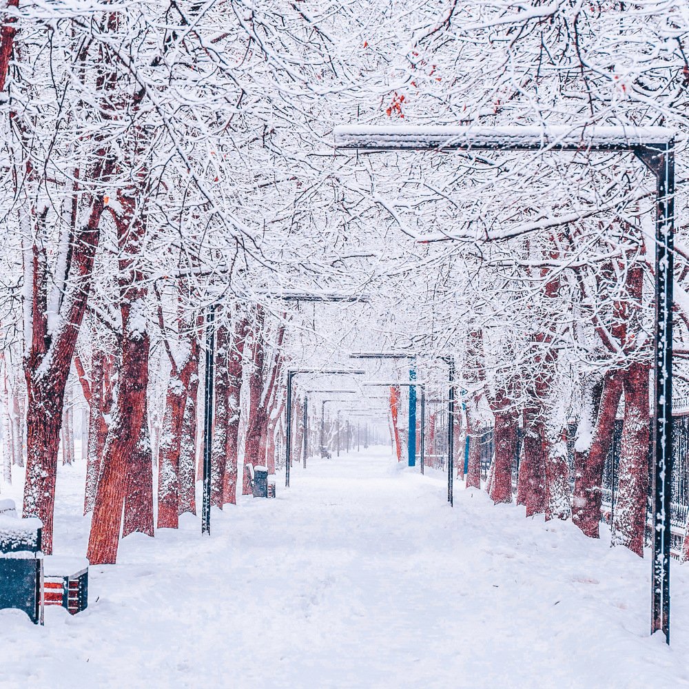 Photograph by Шувалова Мария