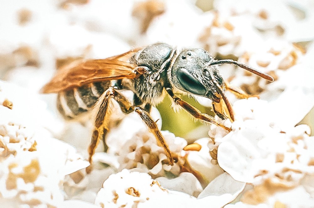 Photograph by Юлия Шматова