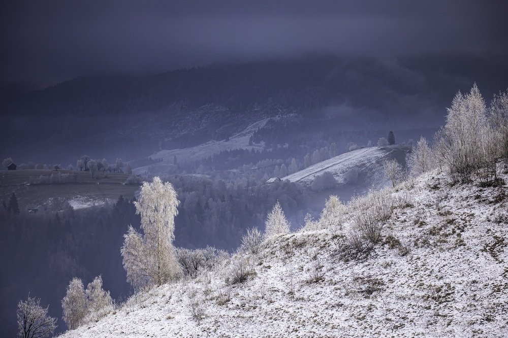 Photograph by Adrian Grigore