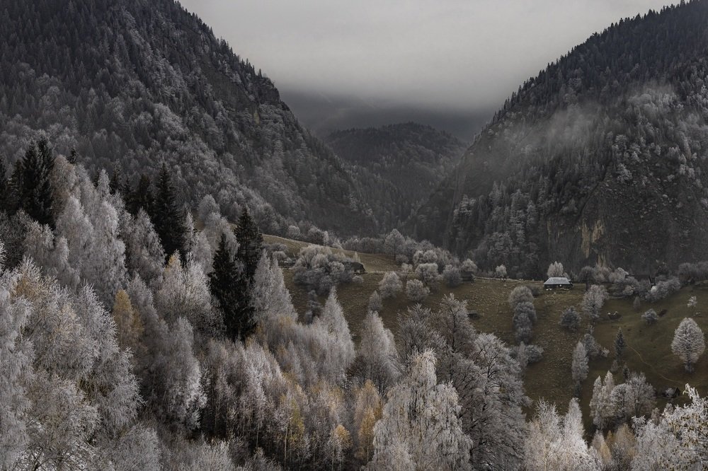 Photograph by Adrian Grigore