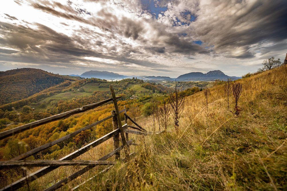 Photograph by Adrian Grigore